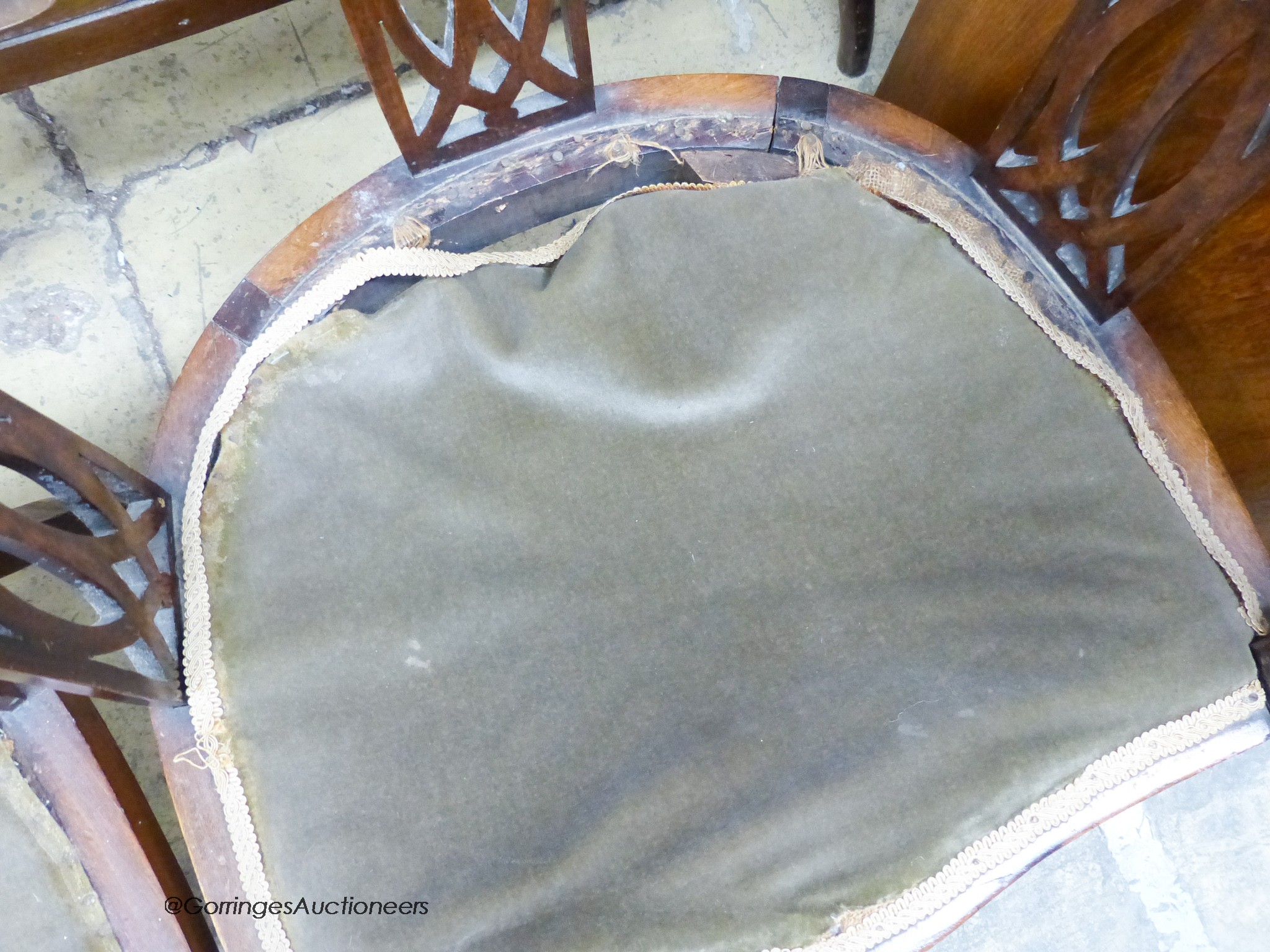 Two Edwardian mahogany tub frame salon chairs